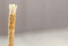 طبيب-يثير-الجدل-بخصوص-استخدام-السواك